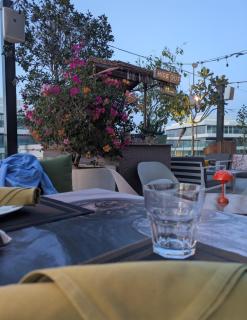 Stylish Urban-Jungle-Studio in Al Barari, Dubai - 2