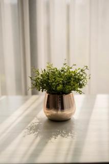 Modern Condo in Nimman P608 by Pimolplace - 6