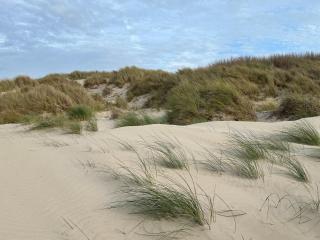 SUNLIGHT Merlimont Appartement Plage Merlimont 10 mn Berck le Touquet - Merlimont-Plage - 1