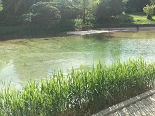 Ferienwohnung Poganz - 8