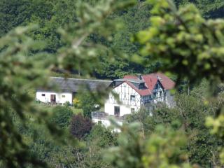 Ferienwohnung In Waldbreitbach Mit Whirlpool - Waldbreitbach - 0