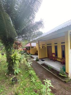 Gunung baru homestay - Senaru - 8