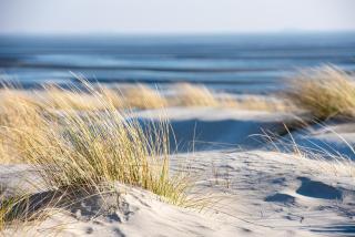 Ferienwohnung ANKERPLATZ mit KAMIN direkt am STRAND - Altenkirchen - 1