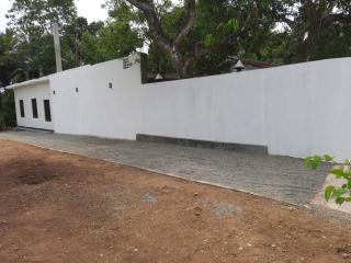 Black Rose Guest - 5