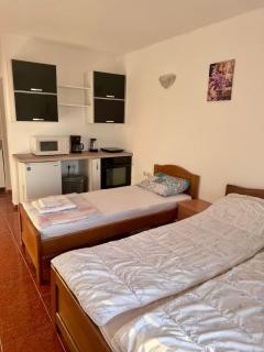 Classic Adriatic House - Dobra Voda - 4