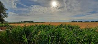Hoeve De Hemel - Zuienkerke - 8