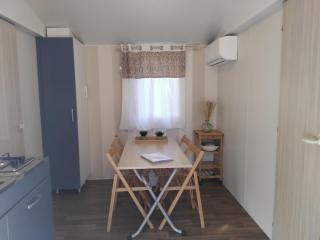 Mobil-home à 20 mn d'Europa Park - Boofzheim - 0