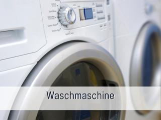Ferienhaus Ankerplatz Ihlienworth - Hunde willkommen, nicht nur geduldet - hoher Zaun -Whirlpoolwanne - Infrarotkabine - familienfreundlich - Wellness - EG barrierefrei - Ihlienworth - 8