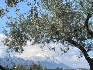 Le Pianelle - Pianella - 3