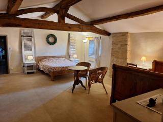 Logis de Bois Roche 1 - Saint-Bonnet-sur-Gironde - 3