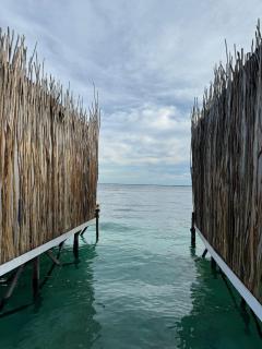Seaweed Village 2 - - 4