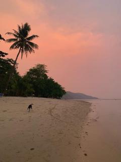 Bann Seamé, Beach house - Ban Khlong Kloi - 7