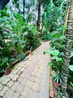 Pool facing Studio in Calangute - Arpora - 4