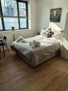43 Carlton Road, Nottingham, NG3 2DN - Nottingham - 0