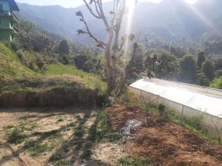 Parvatiya Homestay - Mussoorie - 9