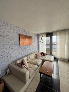 Attique avec terrasse - Zénith & centre-ville - Strasbourg - 7