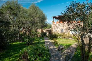 Caletta Nest 11 - Porto Rotondo - 9