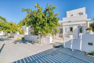 Villa Zeos - Cycladic house close to the beach - Ambelas - 5