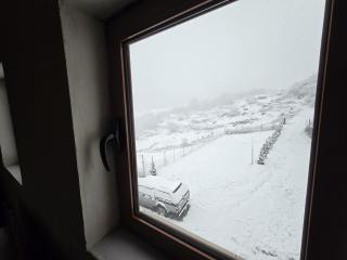 Guest House Shtarza - - 3