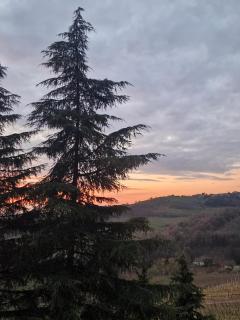 Villa Eleonora Italia - 3
