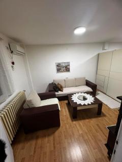 Jazbina - Belgrad - 3