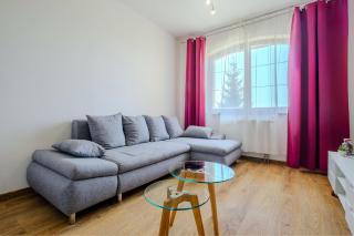 Relax & Luxury A4 apartment - Veľká Lomnica - 8
