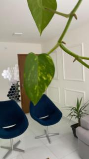 Beautiful furnished and decorated apartment - Campina Grande - 7