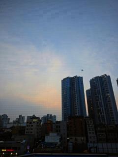 Stay Dahase2 - Seul - 8