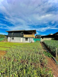 Abeyvilla - Nuwara Eliya - 1