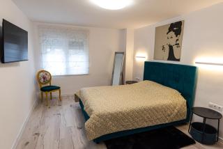 Tudor Central Apartment - Bistriţa - 1