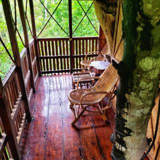Greens Tree House & Wood House - Sultan Bathery - 1