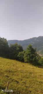 Gazdinstvo Moracanin - Mojkovac - 2