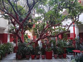 HOTEL TOURIST REST HOUSE Agra - Agra - 8