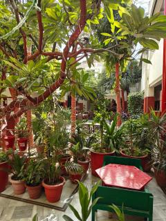 HOTEL TOURIST REST HOUSE Agra - Agra - 7