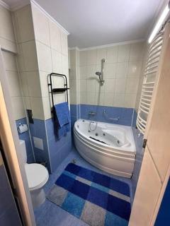 Apartament de lux, zona centrala - 1