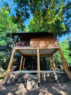 Woodholic Homestay - Sigiriya - 4