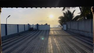 Sea Shells by Malpe - Udupi - - 3