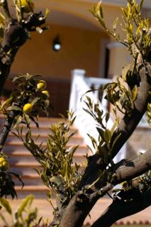 Villa Ilusión Home - 4