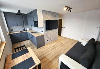 Apartament Novoczesny - Piechowice - 0