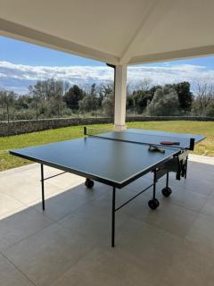 Holiday house Lera Rovinj, with football field, sauna, jacuzzi - Rovinj - 6