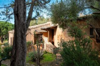 Caletta Nest 38 - Porto Rotondo - 9