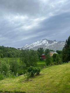 Leinesfjord Ägotskaret studio - Steigen - 3
