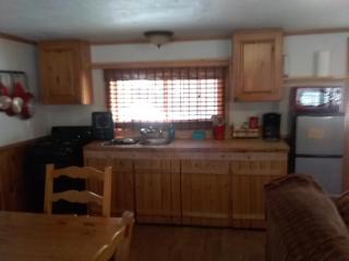 Colorado Cabin Adventures - 2