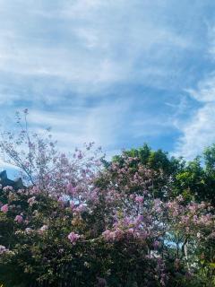 Paradise at your fingertips! - Mangaratiba - 5