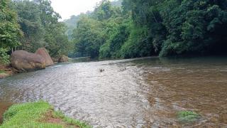 Gateway of Gavi Homestay - Koni - 4