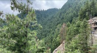 Serenity Hilltop Homes - Cozy Escape - Khaira Gali - 3