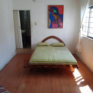 Tipo Hostal - Cedro - 9