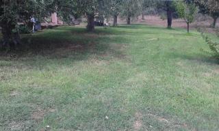 Villa degli Ulivi e delle Rose - 9