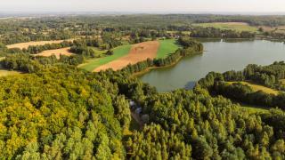 Leno Tu - Ciemno - 6