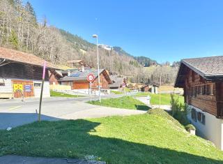 Studio Sternen - Hasliberg - 1